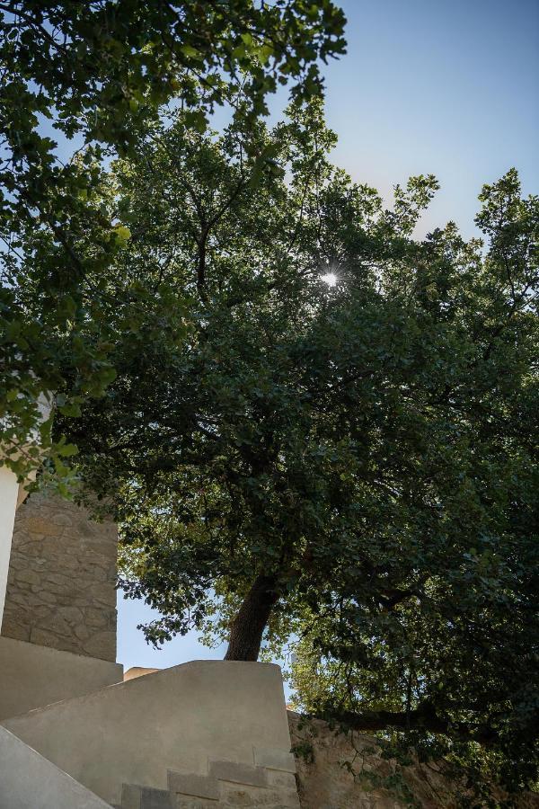 Velanis Ηouse, Style Into Nature - Secluded Kíssamos Buitenkant foto